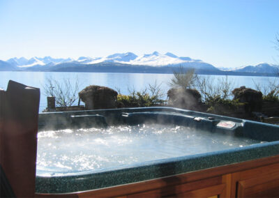 arctic spas hot tub with great view